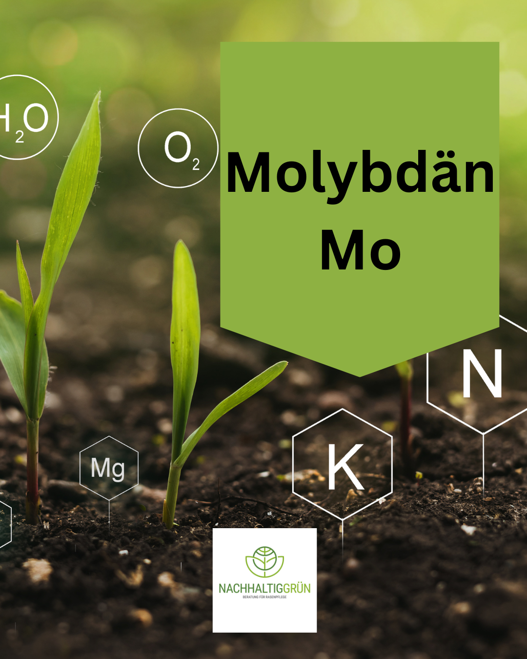 Essentieller Mikronährstoff Molybdän (Mo) - So profitiert dein Rasen und Boden von diesem Nährstoff