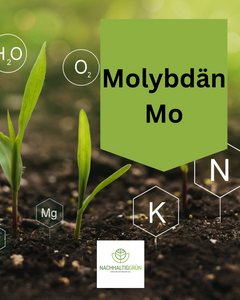 Essentieller Mikronährstoff Molybdän (Mo) - So profitiert dein Rasen und Boden von diesem Nährstoff