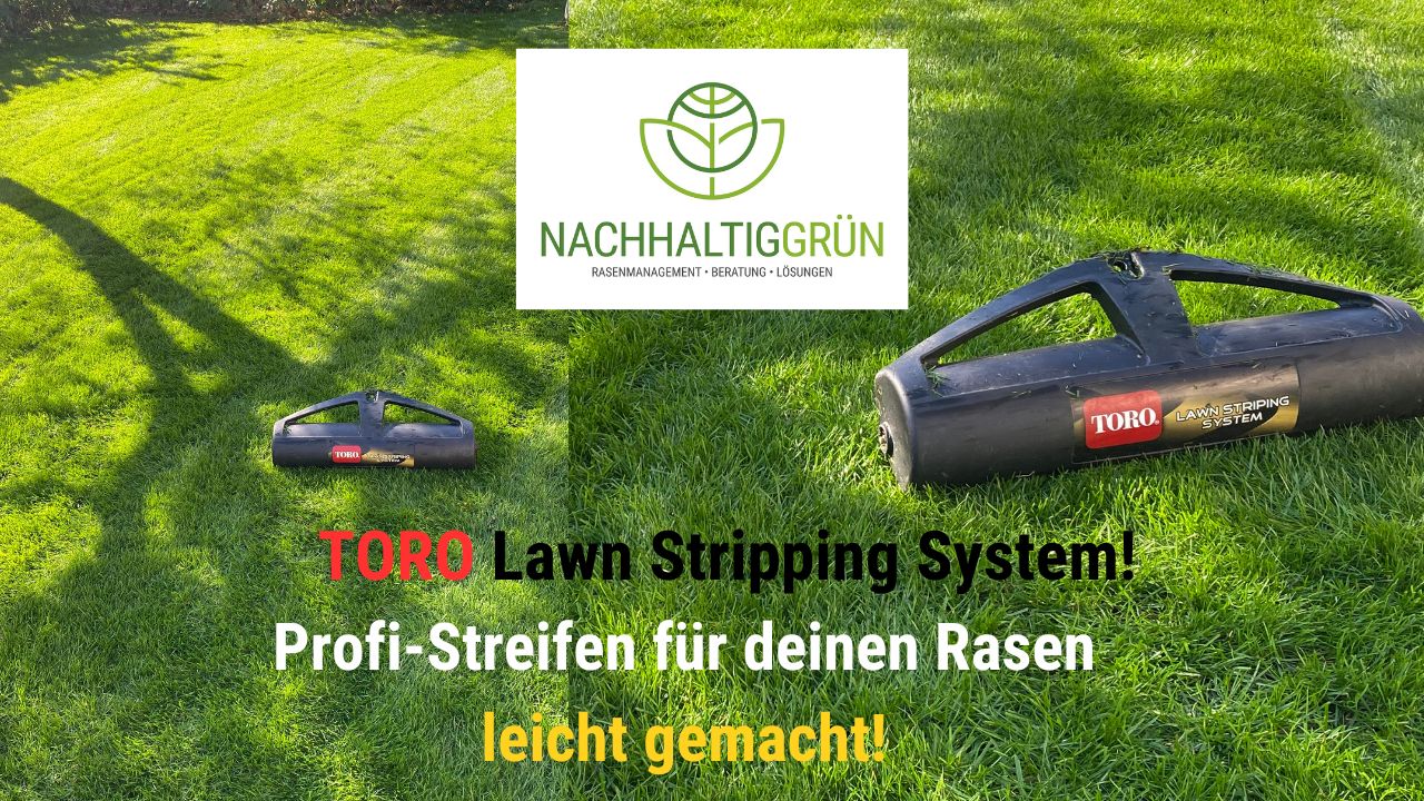 Schachbrettmuster im Rasen: Das Toro Lawn Striping System im Test